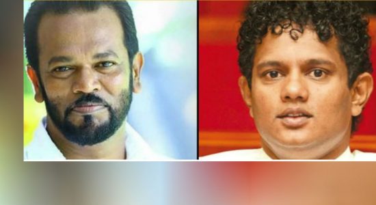 ஹேஷான் விதானகே, பாலித தெவரப்பெரும கைது