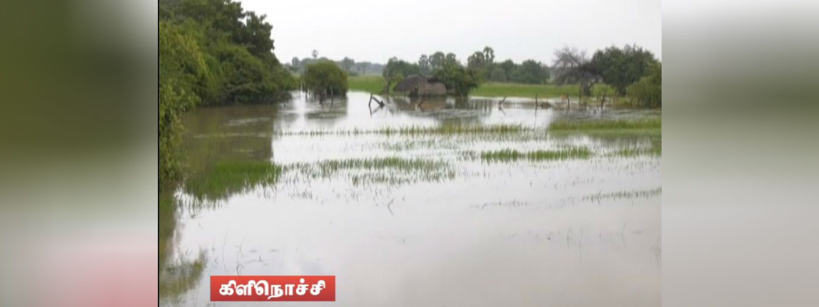 வடக்கில் தொடர்ந்தும் கடும் மழையுடனான வானிலை