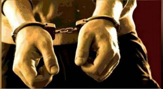 வென்னப்புவயில் 'ஓலுமரா' உள்ளிட்ட 12 பேர் கைது