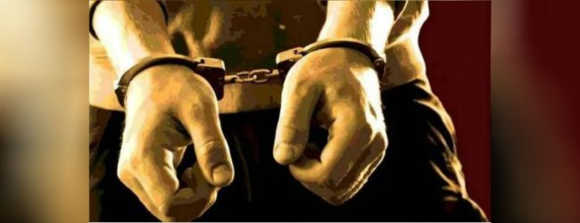 வென்னப்புவயில் 'ஓலுமரா' உள்ளிட்ட 12 பேர் கைது