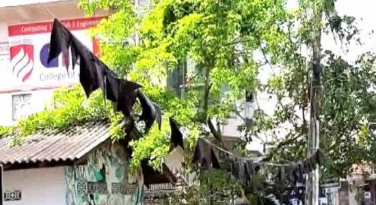புத்தளத்தில் மூன்று நாட்கள் கறுப்பு தினம்