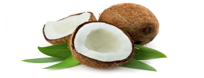 தெங்கு உற்பத்திகளால் 95 பில்லியன் ரூபா வருமானம்