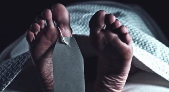 குழியில் வீழ்ந்து தொழிலாளர்கள் இருவர் பலி 