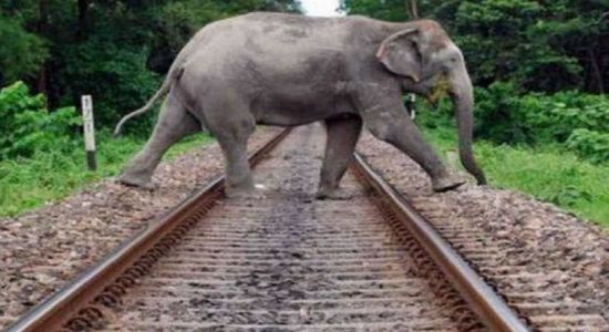 ரயில் மார்க்கங்களில் தன்னியக்க தொடர்பாடல் கருவிகள்