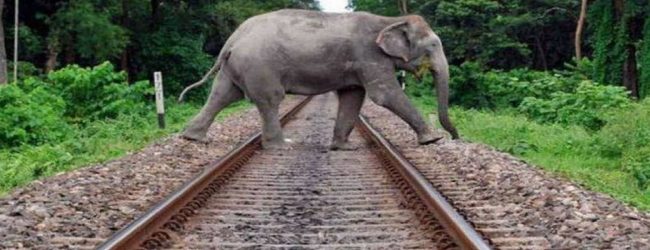 ரயில் மார்க்கங்களில் தன்னியக்க தொடர்பாடல் கருவிகள்