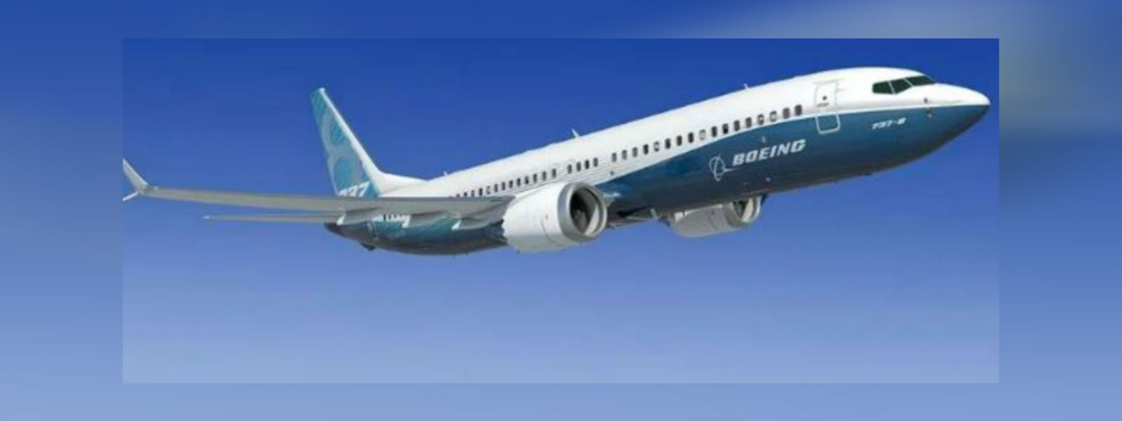 போயிங் 737 மெக்ஸ் ரக விமானங்களின் பாவனை நிறுத்தம்