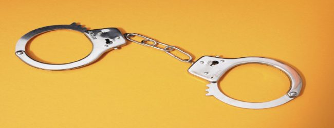 கனடா செல்ல முயன்ற 26 பேர் கிளிநொச்சியில் கைது