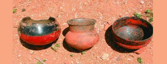 ஆதிச்சநல்லூர் பொருட்கள் 3000 ஆண்டுகள் பழமையானவை 