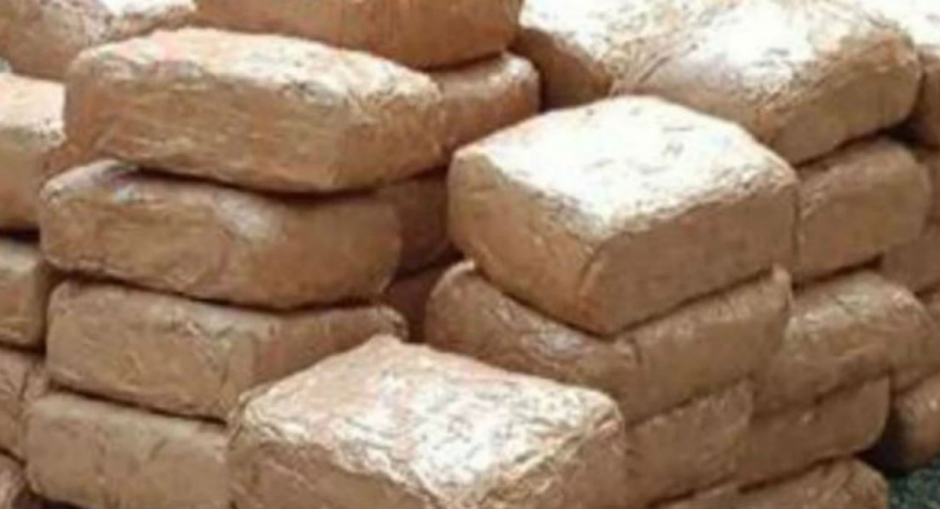 142 கிலோ கேரள கஞ்சாவுடன் இருவர் கைது