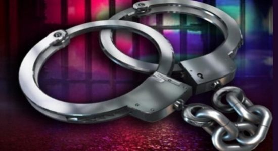 வெசாக் தின சுற்றிவளைப்பு: 500 பேர் கைது