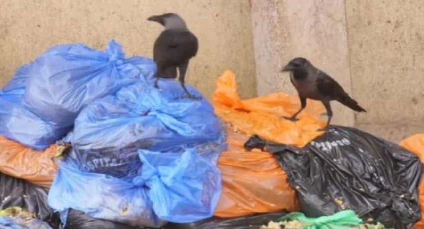 குருணாகல் போதனா வைத்தியசாலையில் குவிக்கப்பட்டிருந்த கழிவுகளை அகற்றும் நடவடிக்கை ஆரம்பம்