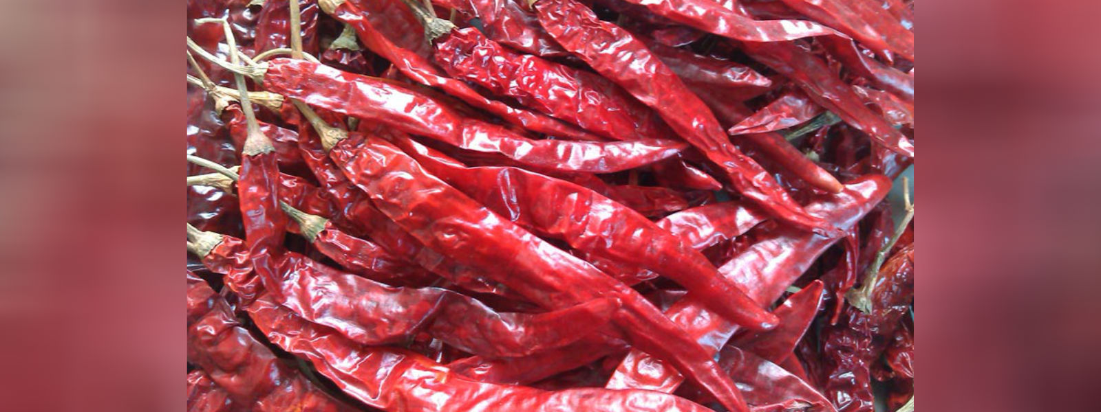 Chilli Durjava செத்தல் மிளகாய்க்கான கேள்வி அதிகரிப்பு