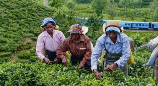 100 நாட்களுக்கான நிலுவைச்சம்பளம் வழங்கப்படவில்லை