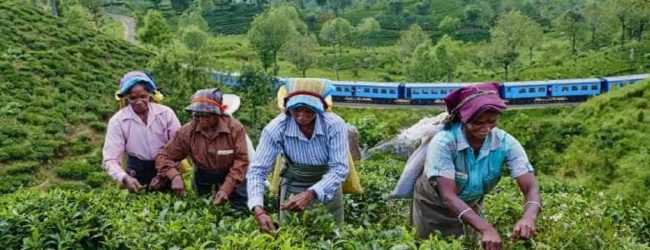 100 நாட்களுக்கான நிலுவைச்சம்பளம் வழங்கப்படவில்லை