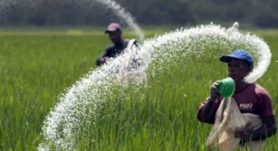 உரம் சட்டவிரோதமாக விநியோகிக்கப்படுவதாக முறைப்பாடு