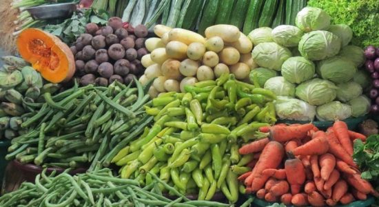 சீரற்ற வானிலையால் மரக்கறிகளின் விலை வீழ்ச்சி