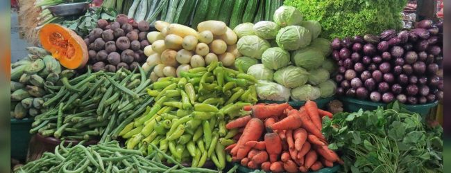சீரற்ற வானிலையால் மரக்கறிகளின் விலை வீழ்ச்சி