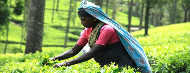 தொழிலாளர்களின் வாழ்க்கைத்தரத்தை உயர்த்தும் திட்டம்