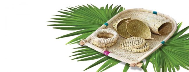 பனையோலை சார் உற்பத்தி கிராமத்தின் குறைபாடுகளை நிவர்த்திக்குமாறு  பணிப்புரை