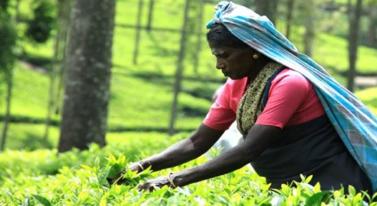 தொழிலாளர்களின் வாழ்க்கைத்தரத்தை உயர்த்தும் திட்டம்
