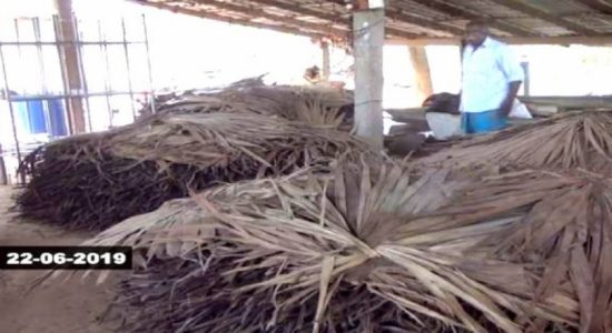 மாற முடியா நிலையில் புகையிலை செய்கையாளர்கள்