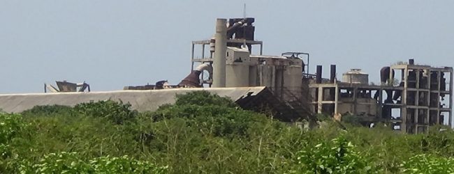 காங்கேசன்துறை சீமெந்து தொழிற்சாலை மீள தொழிற்படுமா?