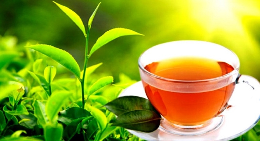 Ceylon Tea நாமத்தைப் பிரசித்தப்படுத்தும் வேலைத்திட்டம் மொஸ்கோவில் ஆரம்பம்