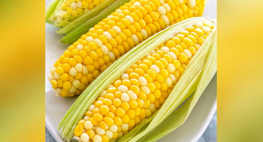 மேலதிக சோள இறக்குமதிக்கு அமைச்சரவை அனுமதி