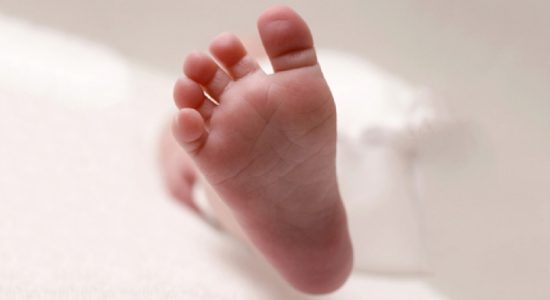 காசல்ரீ நீர்த்தேக்கத்தில் சிசுவின் சடலம்