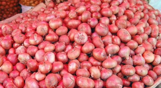 பெரிய வெங்காய விற்பனையில் இலாபம்