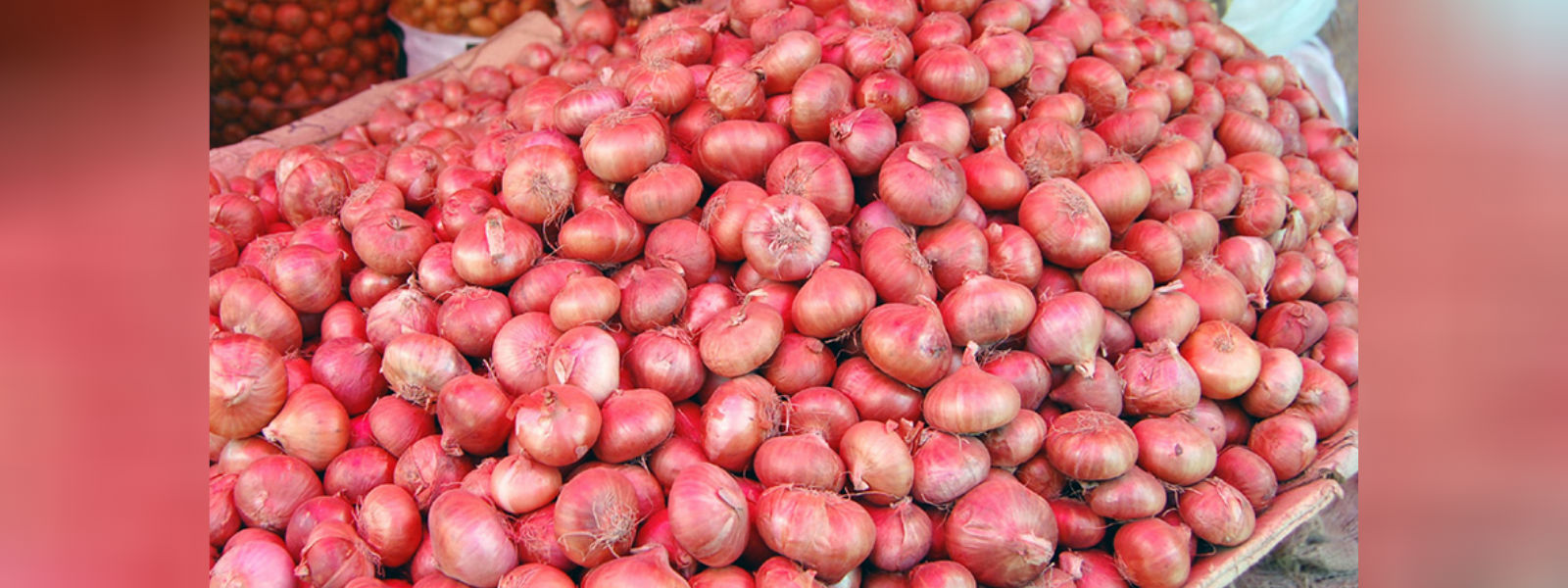உள்ளூர் வெங்காயத்தின் விலை அதிகரிப்பு