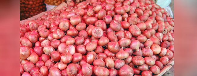 பெரிய வெங்காய விற்பனையில் இலாபம்