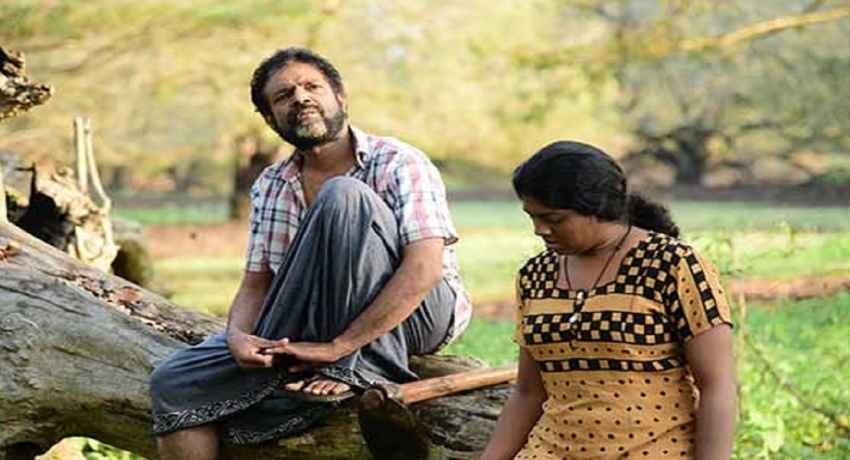 வௌியீட்டிற்கு முன்னதாகவே 17 விருதுகளை வென்ற ஒற்றைப் பனைமரம்