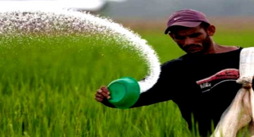 உர தட்டுப்பாடு நிலவவில்லை: விவசாய அமைச்சு தெரிவிப்பு