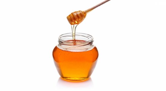 தெற்கில் தேன் உற்பத்தியை மேம்படுத்த திட்டம்