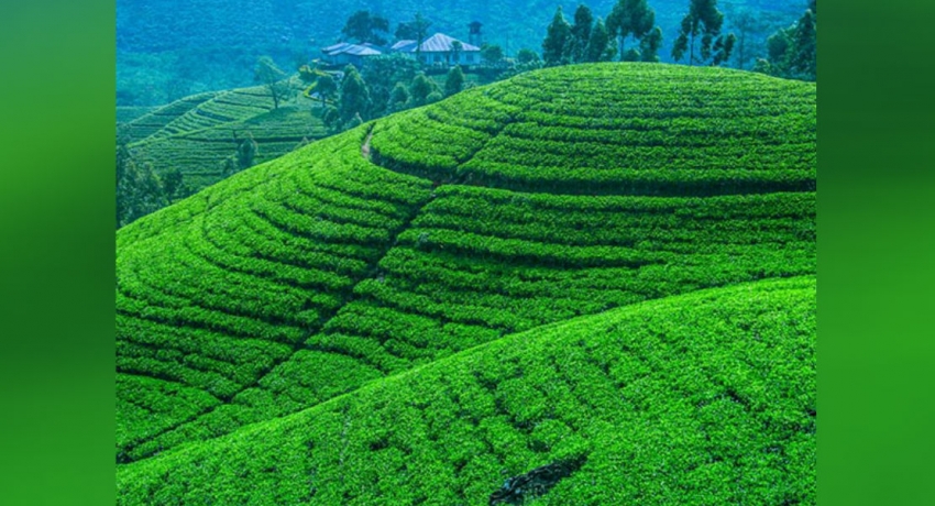 மத்திய மாகாணத்தில் பசுமை நகர அபிவிருத்தி வேலைத்திட்டம்