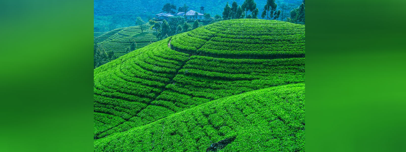 மத்திய மாகாணத்தில் பசுமை நகர அபிவிருத்தி 