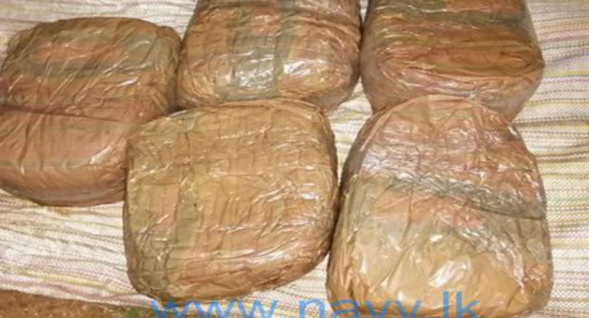 மன்னாரில் ஒருதொகை கேரள கஞ்சா கடற்படை வசமானது