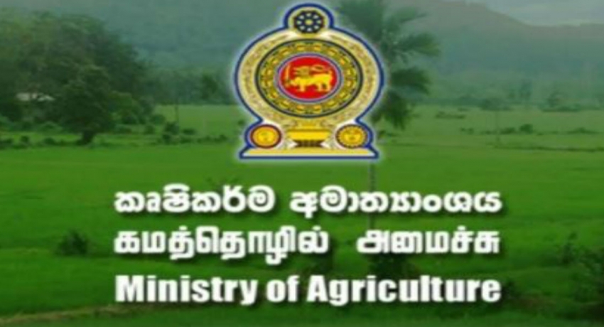 மழை வௌ்ளத்தால் அதிகளவான பயிர்நிலங்களுக்கு சேதம்