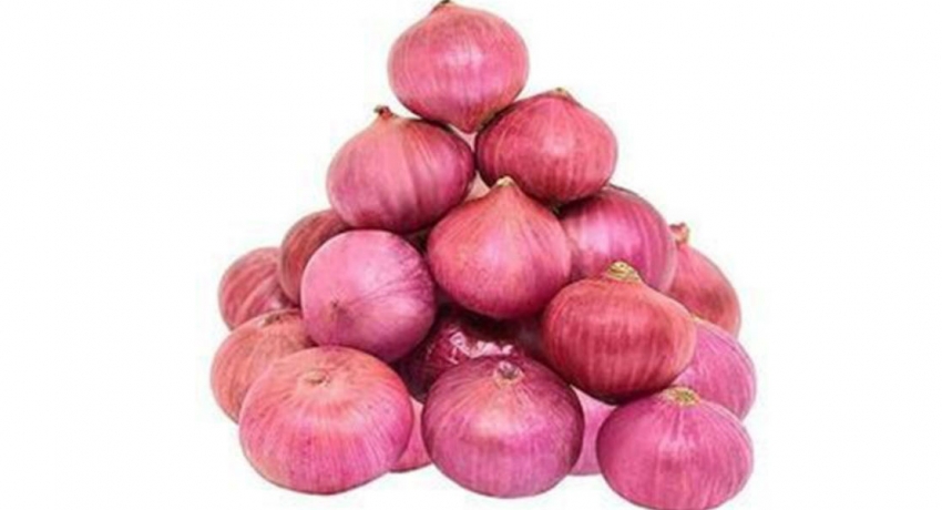 மாத்தளையில் பெரிய வெங்காய செய்கையை மேம்படுத்த நடவடிக்கை