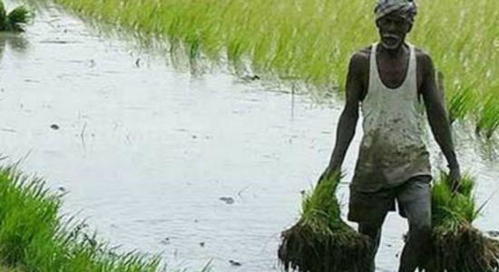 விவசாயிகளுக்கு நாளை முதல் நஷ்டஈடு