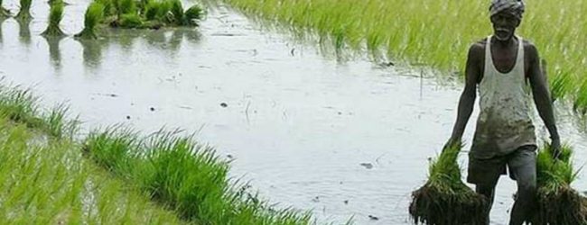 விவசாயிகளுக்கு நாளை முதல் நஷ்டஈடு