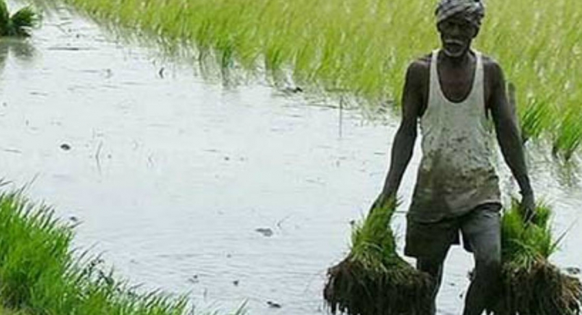 விவசாயிகளுக்கு நாளை முதல் நஷ்டஈடு