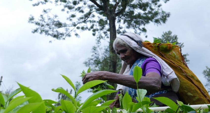 இம்முறையேனும் சம்பள அதிகரிப்பு சாத்தியமாகுமா?