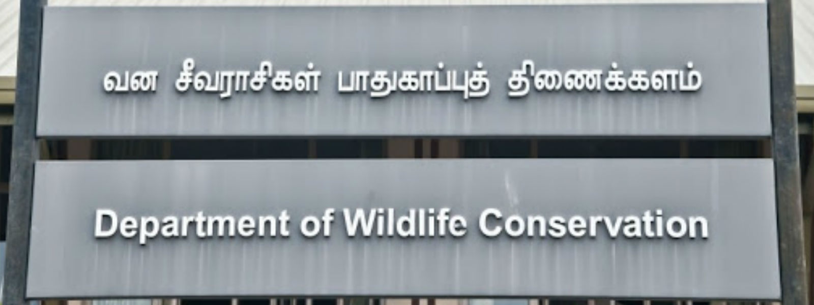 காட்டுத் தீ பரவும் சம்பவங்கள் அதிகரிப்பு