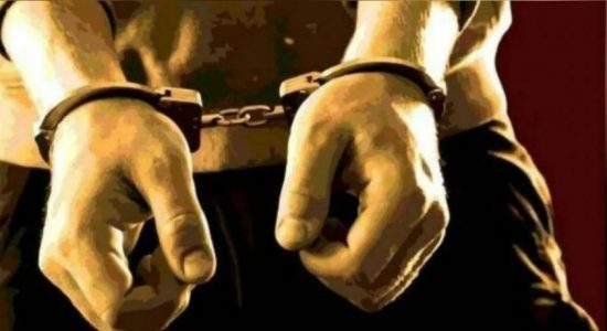 வனஜீவராசிகள் திணைக்கள அதிகாரி ஒருவர் கைது