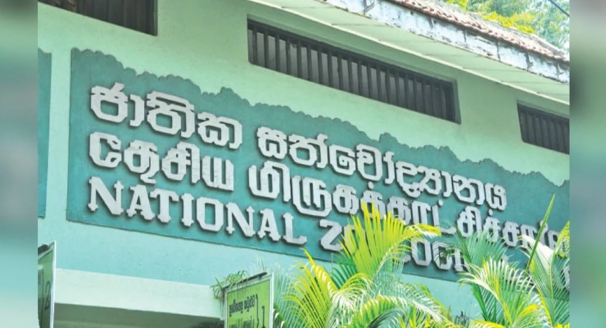 மிருகக்காட்சி சாலைகள், பூங்காக்கள் இரண்டு வாரங்களுக்கு மூடப்படவுள்ளன