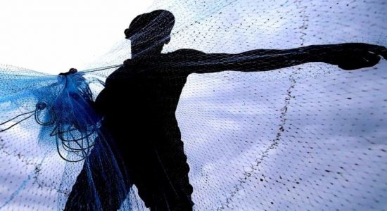 உள்ளூர் மீனவர்களிடமிருந்து மீன்கள் கொள்வனவு 