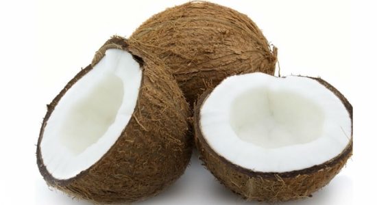 தேங்காய் விலையைக் கட்டுப்படுத்த நடவடிக்கை 