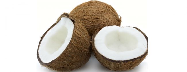 தேங்காய் விலையைக் கட்டுப்படுத்த நடவடிக்கை 